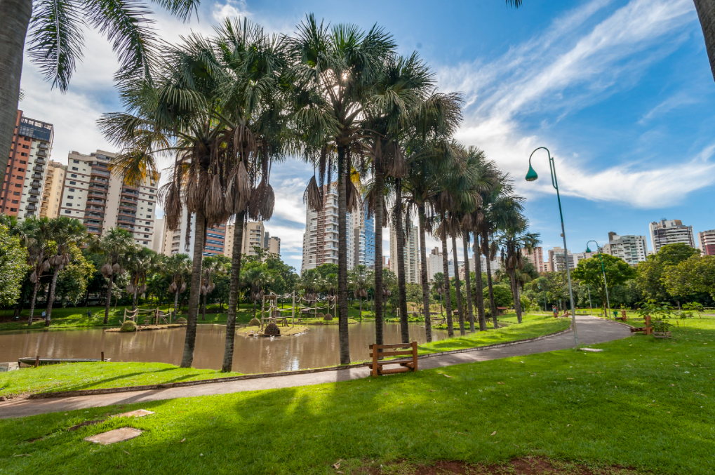 parque de goiania visto a bordo de um onibus